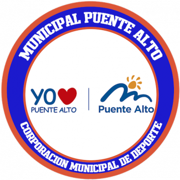 Escudo/Bandera Municipal Puente Alto
