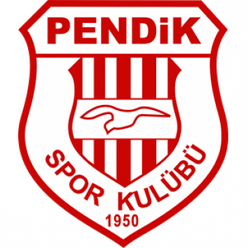 Escudo/Bandera Pendikspor