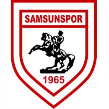 Escudo/Bandera Samsunspor