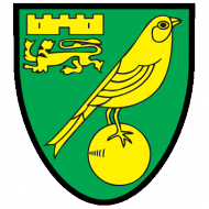 Badge/Flag Norwich City