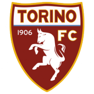 Badge/Flag Torino