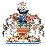 Escudo/Bandera Barry Town