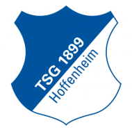 Badge/Flag Hoffenheim