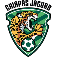 Badge/Flag Jaguares