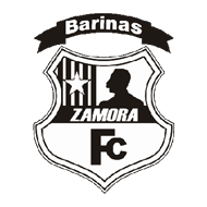 Badge/Flag Zamora F.C