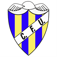 Badge/Flag Unión de Madeira