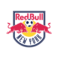 Escudo/Bandera New York Red Bulls