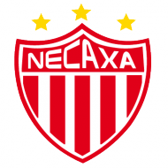 Badge/Flag Necaxa