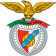 Badge/Flag Benfica