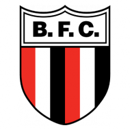 Escudo/Bandera Botafogo FC (Ribeirão Preto)