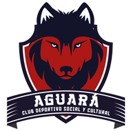 Escudo/Bandera Aguará