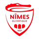 Badge Nîmes
