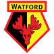 Badge Watford