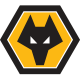 Wolves shield / flag