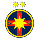 Badge Steaua