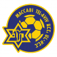 Badge M. Tel-Aviv