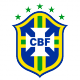 Insignia / Bandera Brasil 