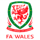 Shield/Flag Wales