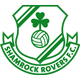 Badge Shamrock R.