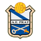 Badge Prat