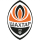 Shakhtar Shield / Flag