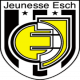 Badge Jeunesse Esch