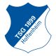 Badge Hoffenheim