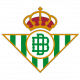 Badge/Flag Betis