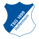 Escudo Hoffenheim