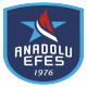 Escudo/Bandera Anadolu Efes