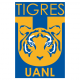 Los momios le dan su primer título internacional a Tigres