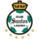 Santos Laguna – Necaxa en vivo: Liga MX, jornada 11