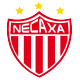 Shield Necaxa