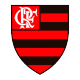 Shield Flamengo