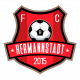 Escudo/Bandera FC Hermannstadt