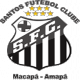 Santos aim to cap turbulent year with Copa Libertadores win