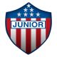 Badge/Flag Junior