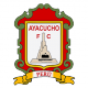 Escudo/Bandera Ayacucho FC