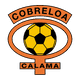 Badge Cobreloa