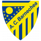 Badge Barnechea