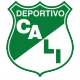 Badge/Flag Deportivo Cali