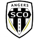 Escudo Angers