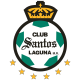 Escudo/Bandera Santos Laguna