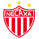 Badge Necaxa