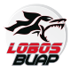 Badge Lobos BUAP