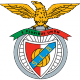 Bouclier / Drapeau Benfica