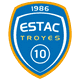 Badge/Flag Troyes
