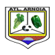 Escudo/Bandera Atlético Arnoia