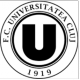 Escudo/Bandera Universitatea Cluj FC