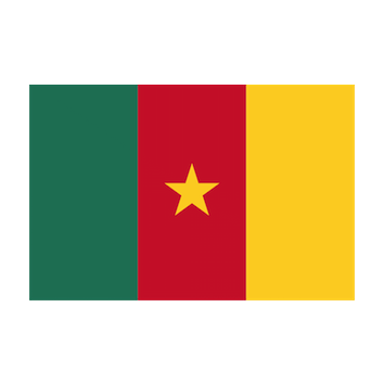 Escudo Camerún